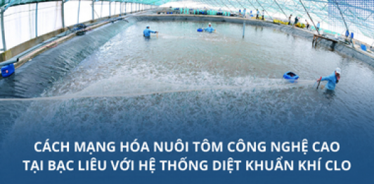 Cách mạng hóa nuôi tôm công nghệ cao tại Bạc Liêu với hệ thống diệt khuẩn khí Clo